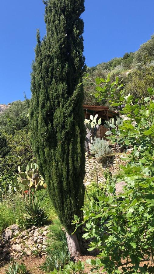 Vistalago Garden Doria Monteleone Rocca Doria 外观 照片