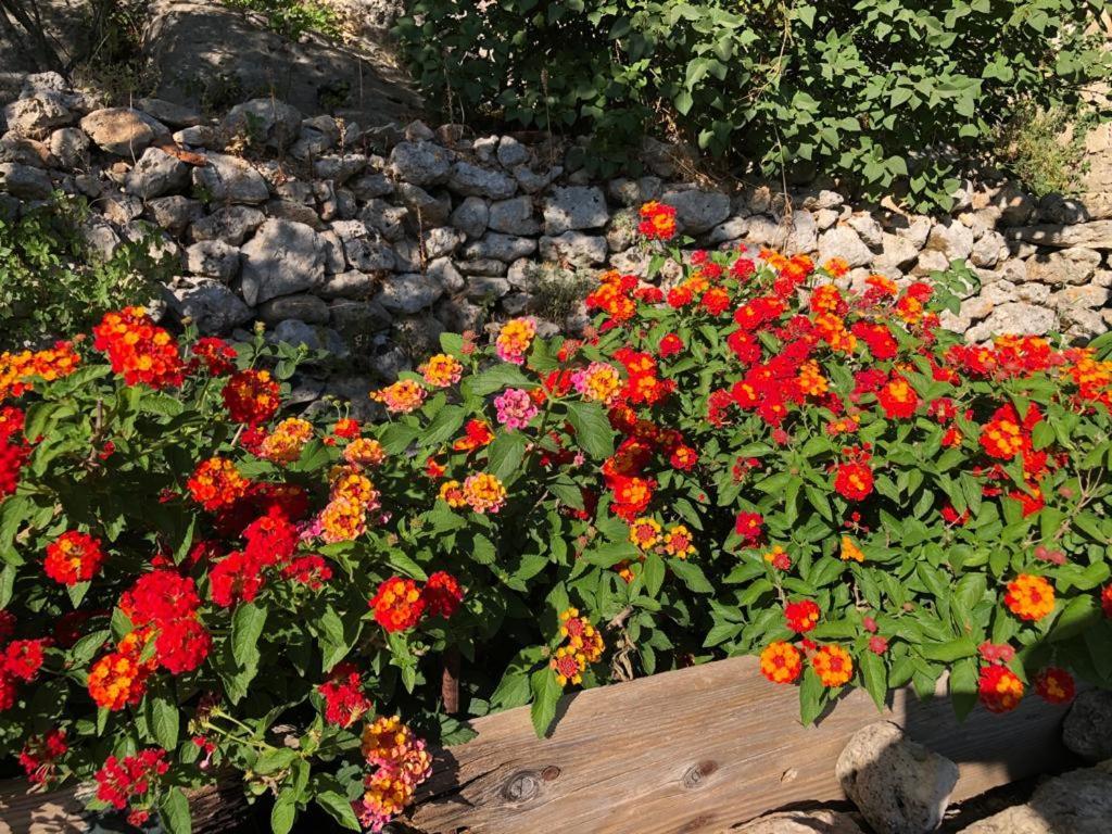 Vistalago Garden Doria Monteleone Rocca Doria 外观 照片